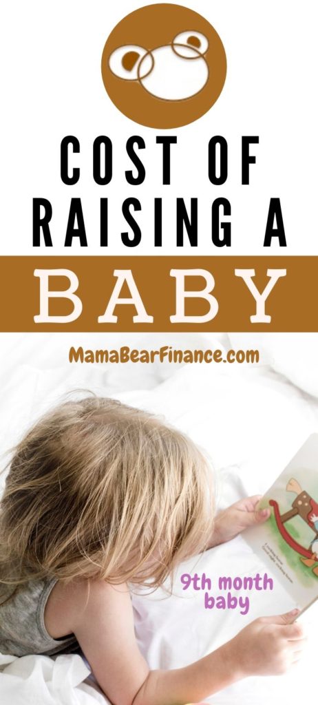 Cost of Raising a Baby (9th month)