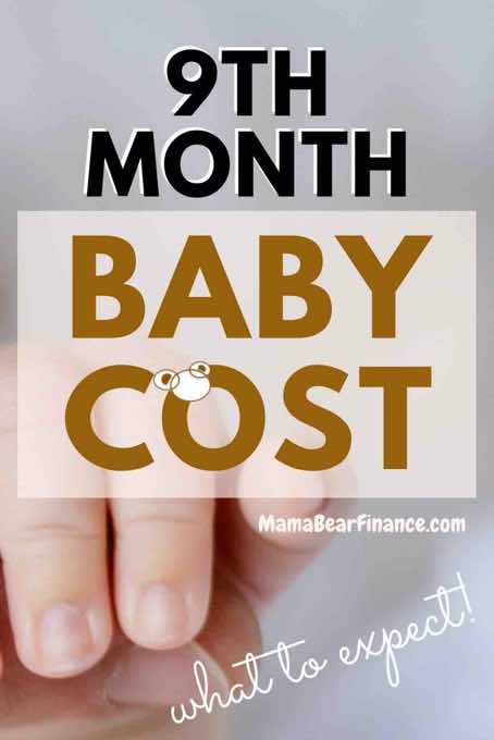 Baby Cost in the 9th Month