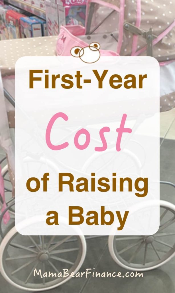Find out the cost of raising a baby for the entire first year and how you can control your spending by tracking your expenses.