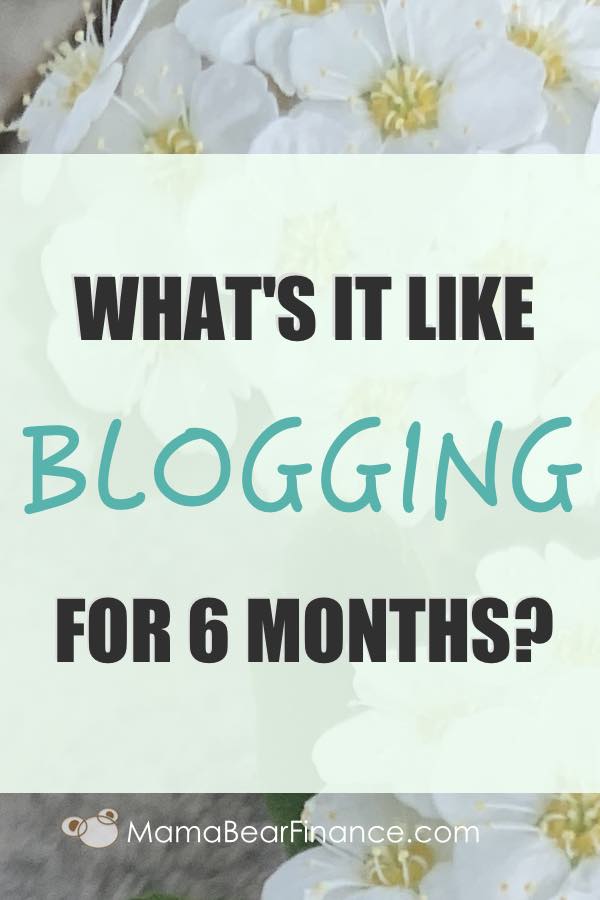 Documenting the experience of blogging for 6 months