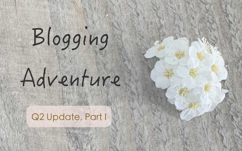What's it like after 6 months of blogging?