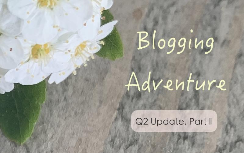 Wins and lessons learned from 6 months of blogging