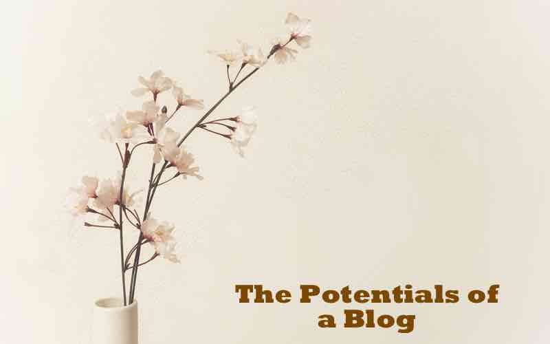 Is Blogging Still Important and What Are its Potentials
